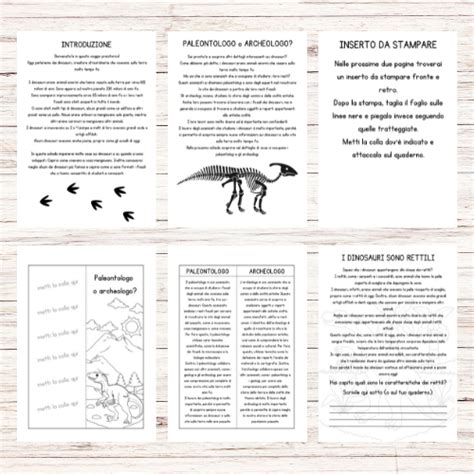 Schede Didattiche Dinosauri Classe Terza Edudoro