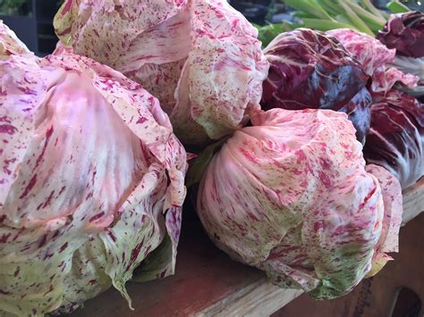 Castelfranco Radicchio | Vancouver Radicchio Festival