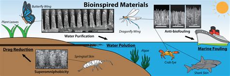 Bioinspired Materials Dasgupta Research Group