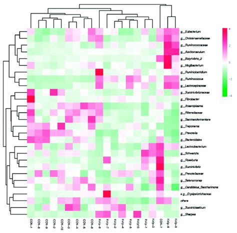 Hierarchical Clustering Analysis Hca And Heat Map Analysis On