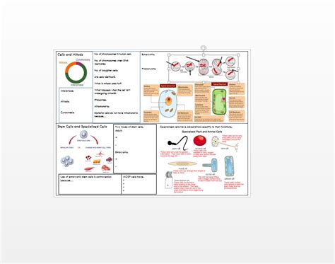 Aqa Gcse Cells Topic Revision Condensed Resource Teaching Resources