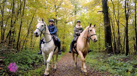 Pense B Tes Tourisme Cheval Chimay Auvio