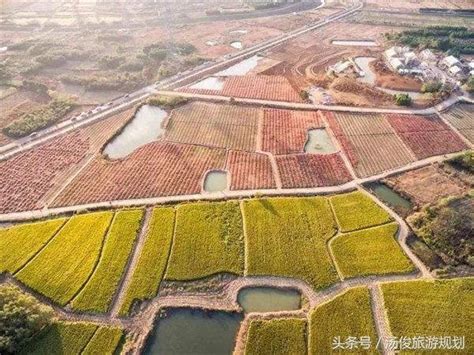 想做田園綜合體，你符合以下條件嗎 每日頭條