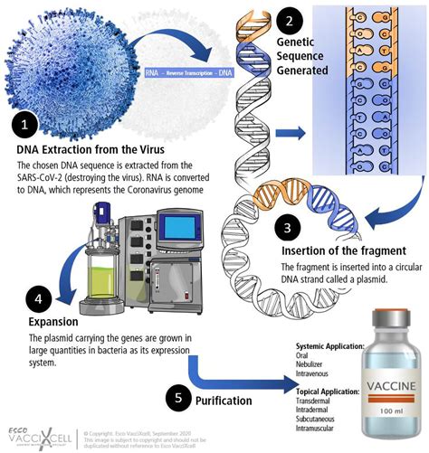 Where We Are Now In The Race For The COVID 19 Vaccine Esco VacciXcell