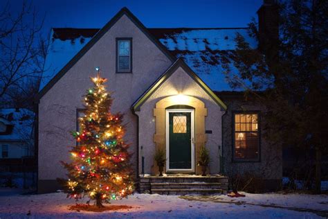 Guide To Outdoor Christmas Trees