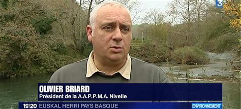 Saumon dans la Nivelle : le cri d'alerte de l'AAPPMA Nivelle Côte
