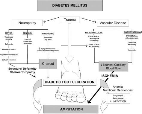 Diabetic Foot Disorders A Clinical Practice Guideline 2006 Revision