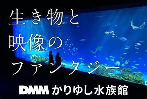 Dmmかりゆし水族館 新テレビcm放送開始 合同会社のプレスリリース