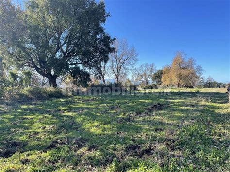 Terreno Agricolo Contrada Canneto Fragale Lamezia Terme Rif