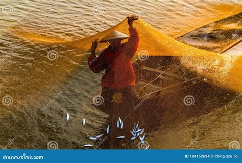 Hermosa Captura De Pescadores Vietnamitas Capturando Peces Con Red De