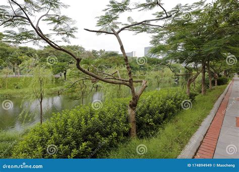 Lake in Xiamen Campus of Huaqiao University Sunrise, Adobe Rgb Stock ...