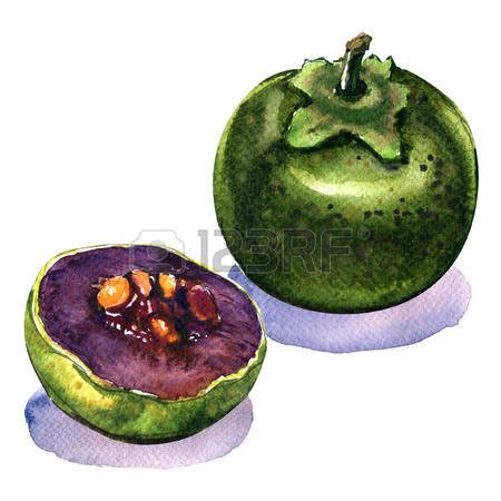 Unripe fruit clipart 20 free Cliparts | Download images on Clipground 2024