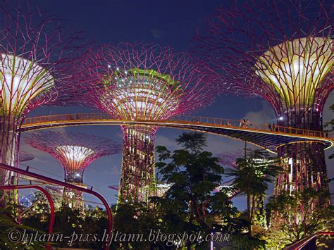 hjtann photo blog: Supertrees - Gardens by the Bay