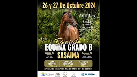 EXPOSICION EQUINA GRADO B SASAIMA CUNDINAMARCA DIA 1 PASO FINO