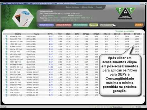 Vídeo Explicativo PAG Gestão da Qualidade Genética YouTube
