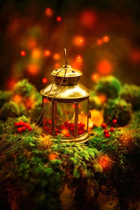 A Lantern Sitting On Top Of A Moss Covered Ground Next To Red Berries