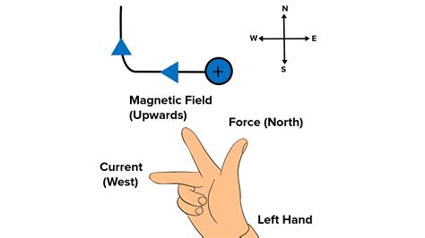 A positively charged particle alpha particle projected towards the west ...