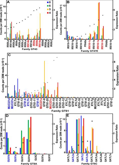 Frontiers Evolution Of The Cell Wall Gene Families Of Grasses