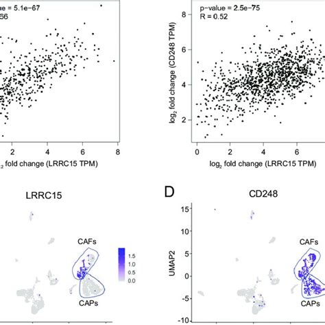 LRRC15 And CD248 Are Coexpressed In Tumors A Bulk RNA Seq Expression