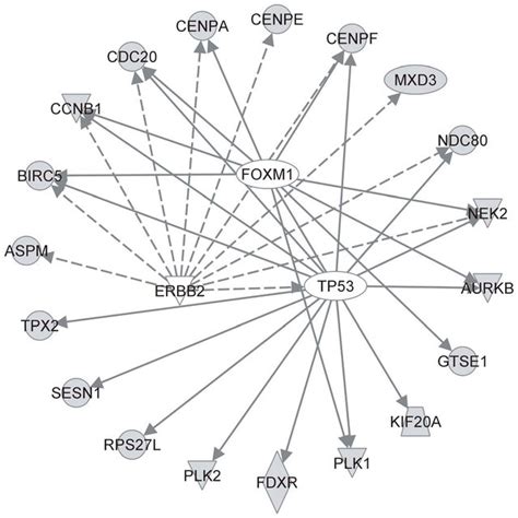 Gene Gene Interaction Networks Of The 29 Biomarkers Three Possible