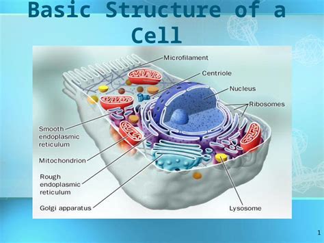 PPT 1 Basic Structure Of A Cell 2 History Of Cells The Cell Theory