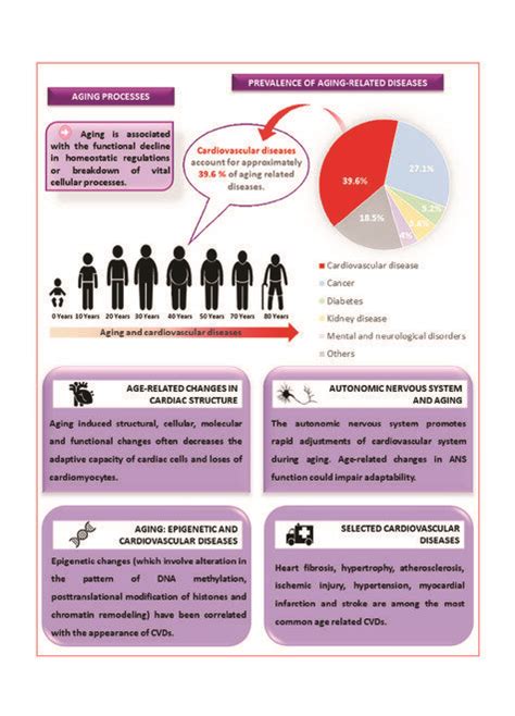 Aging Processes Prevalence Of Aging Related Diseases And Some