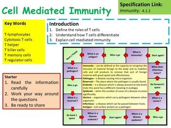 Ap Biology Cell Mediated Immunity Lesson Activities Tpt