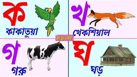 বল বযঞজনবরণ ক খ গ ঘ ঙ Bangla Banjonborno ছনদ ছনদ