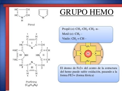 Grupo Hemo