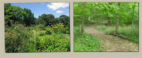 Sweetbriar Nature Center Hiking Trails