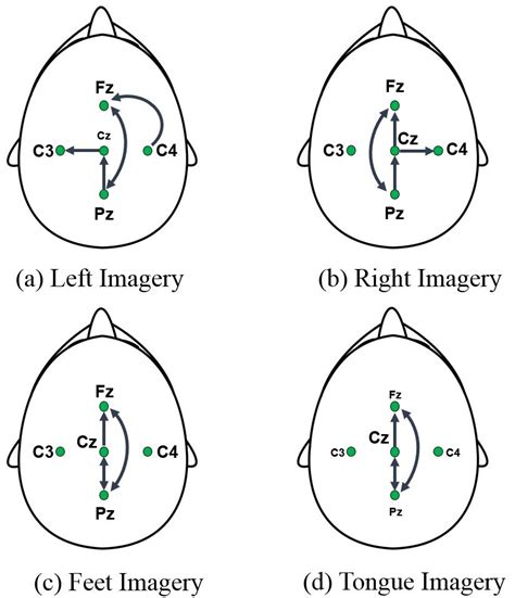 Causal Interactions On The Eeg Scalp Topographical Placements Of