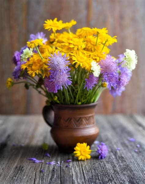 Ramo De Flores Silvestres Anthemis Tinctoria Y Knautia Arvensis En Una