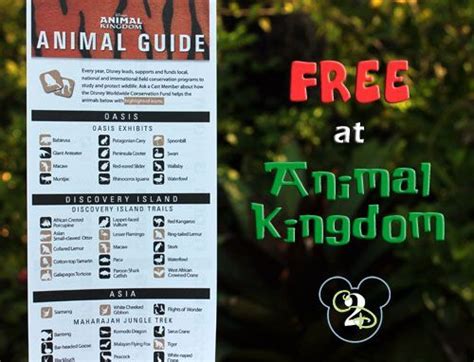 Animal Kingdom Animal Guide Disney Trip Planning Disney World