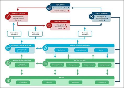 Nature as source of resilience