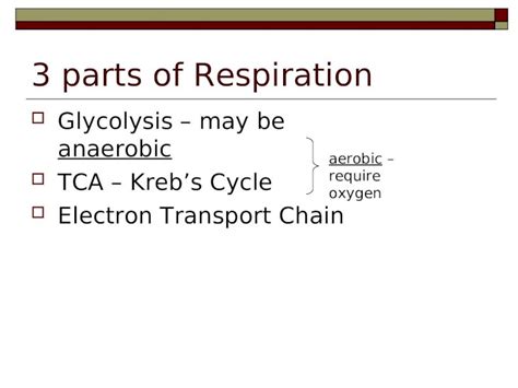 Ppt Parts Of Respiration Glycolysis May Be Anaerobic Tca Krebs