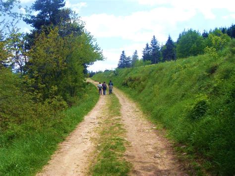 Au Bout Du Chemin Il Y A Chemins