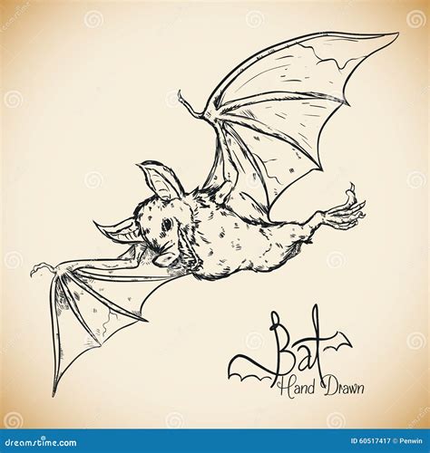 Hand Drawn Realistic Bat Vector Illustration Stock Vector