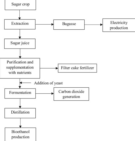 2 Schematic Representation Of Bioethanol Production From Sugar Based Download Scientific