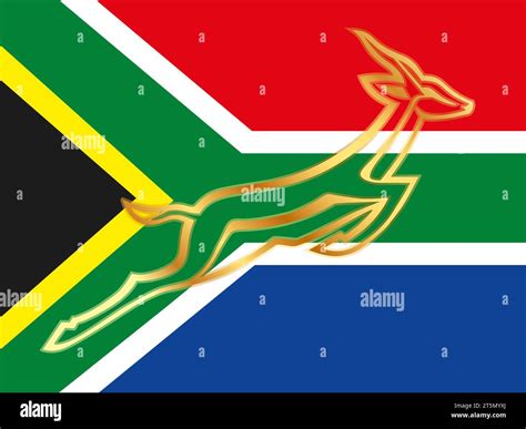 Springbok Rugby South Africa HD Wallpaper Peakpx 52 OFF