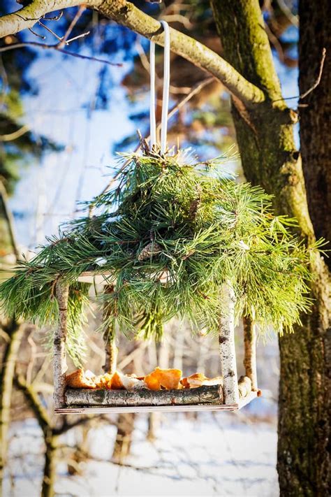 Bird Feeder In Winter Stock Photo Image Of Scenic Blue 116407390