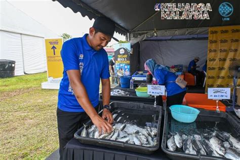 Bekalan Ikan Segar Mencukupi Lkim Media Variasi