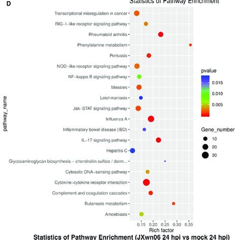 Gene Ontology Go Terms And Kegg Pathway Enrichment Of The Degs Ab Download Scientific