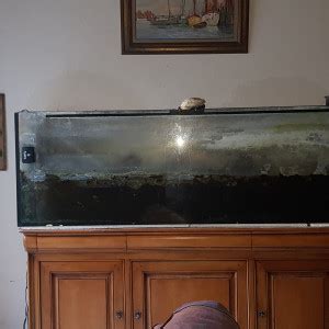 Acheter Un Aquarium De Plus De 300 Litres Achat En Ligne