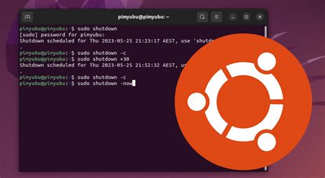 How To Use The Ping Command On Ubuntu Pi My Life Up