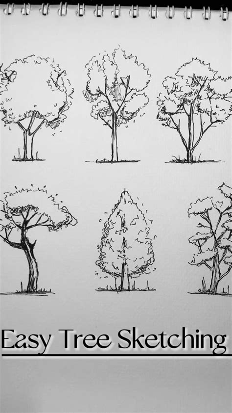 Trees Sketching Book Easy Draw Techniques