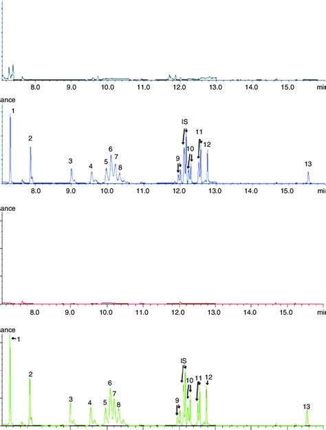 The Gas Chromatography Mass Spectrometry Gc Ms Chromatograms Of River Download Scientific