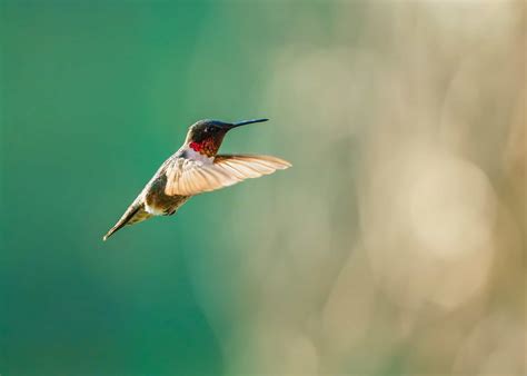 Uncover Your Destiny: Free Daily Horoscopes on Yahoo Lifestyle