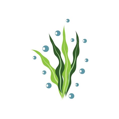 Seaweed Logo Template Vector Icon Traditional Algae Wildlife Vector