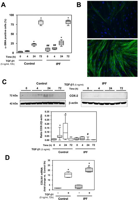 Induction Of Fibroblast Myofibroblast Transition Fmt In Control And