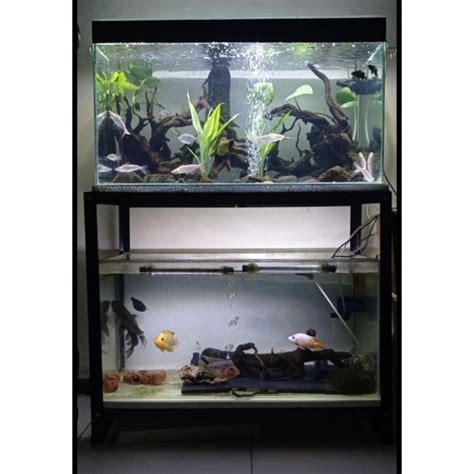 7 Aquarium Table Design Inspirations To Beautify Your Room Furnizing